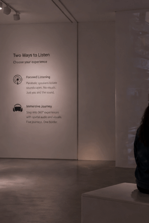 Border Soundscapes: A Sonic Journey Across the U.S.–Mexico Border